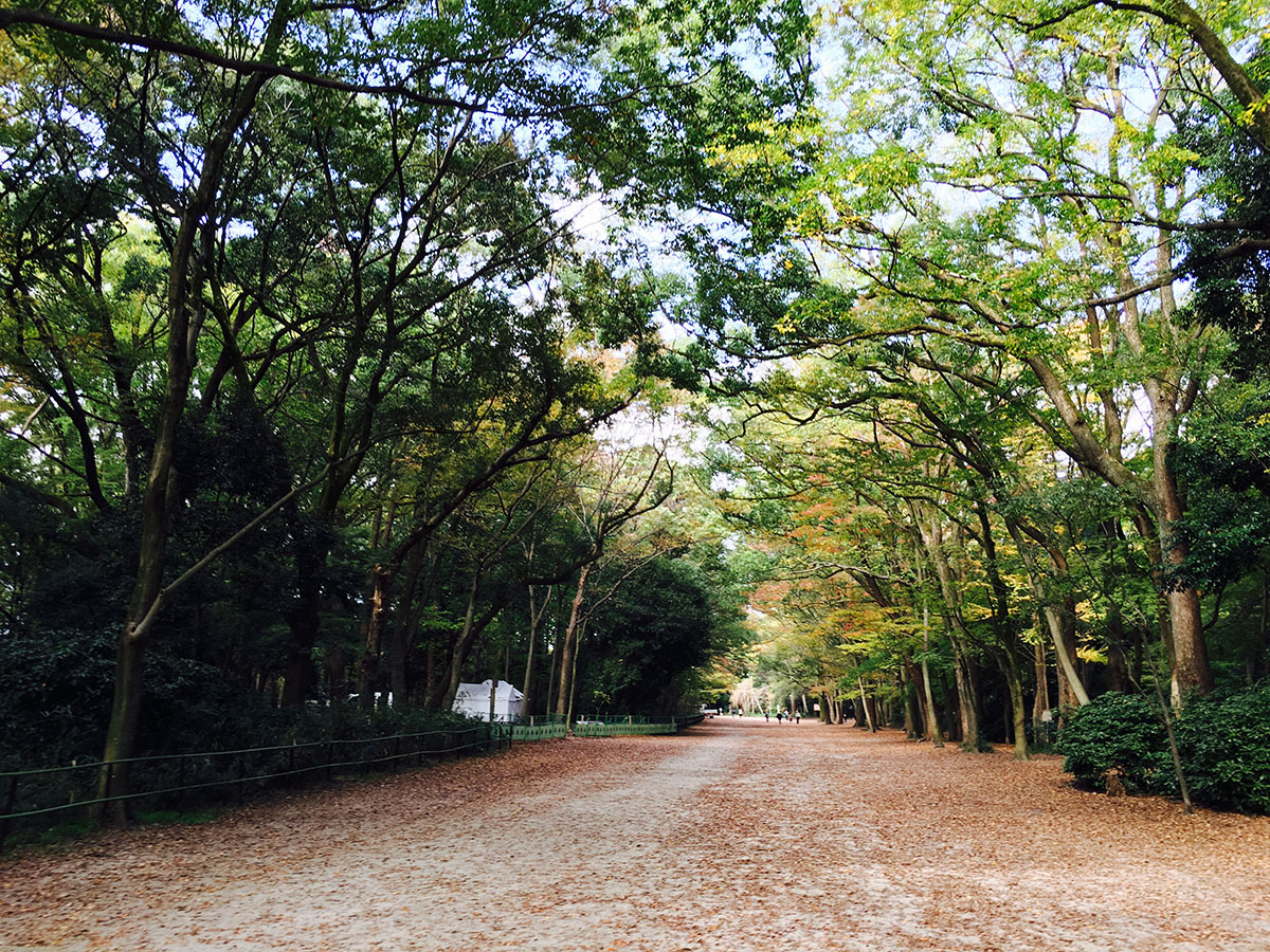 下鸭神社